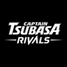 TSUBASA Governance