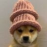 dogwifhat eth