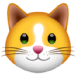 KittenFinance