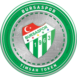 Bursaspor Fan Token