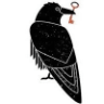 Scihub