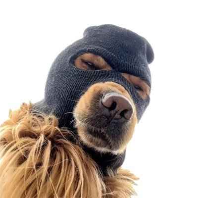 SKI MASK DOG