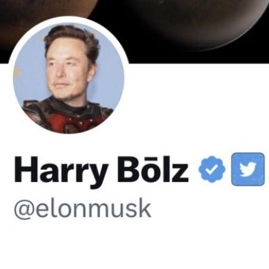 harry bolz
