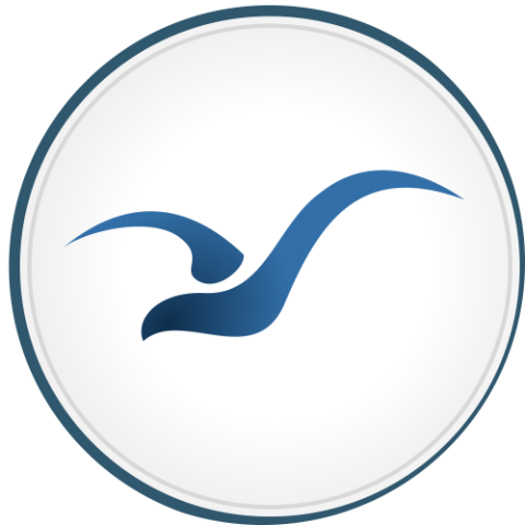 Gull ai