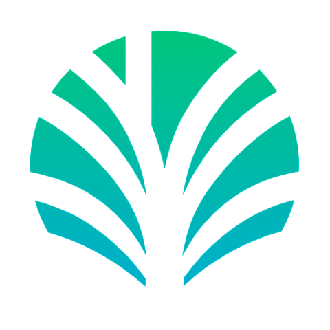 Palm Economy