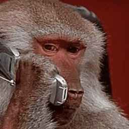 Monke Phone