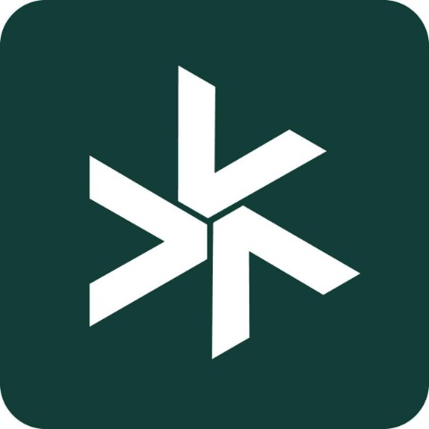 Vision Logo