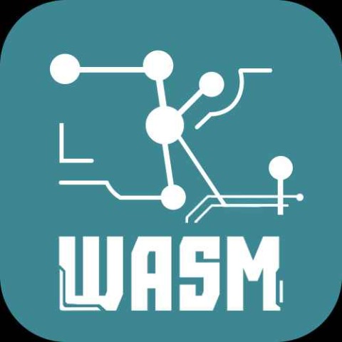 ZKWASM Logo
