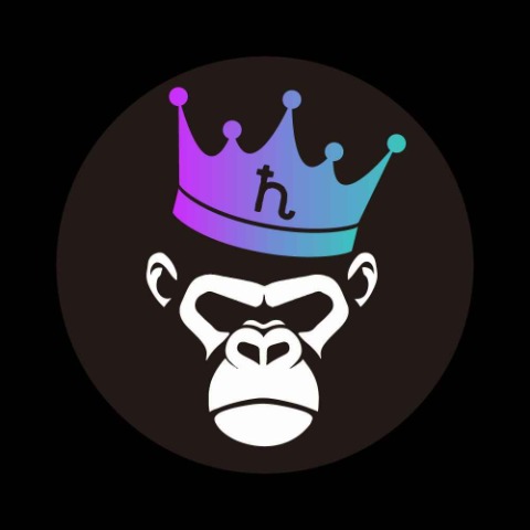 PUNKVISM Logo