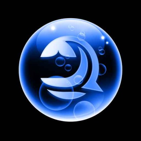 Bluwhale Points Logo