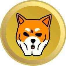 JUDO SHIBA