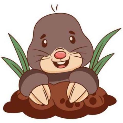 Molesmash Logo