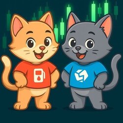 first StonFi on gas pump