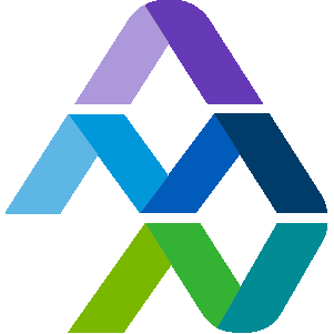 AMN Healthcare Services