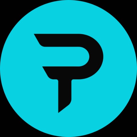 Paradex Logo