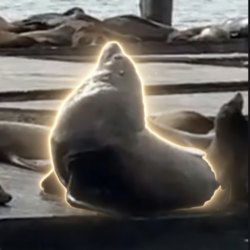 Chonkers Logo