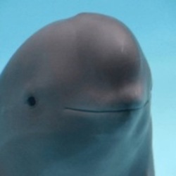 Logo de Smiling Dolphin