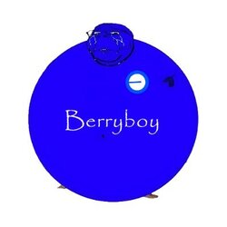لوگو Berryboy