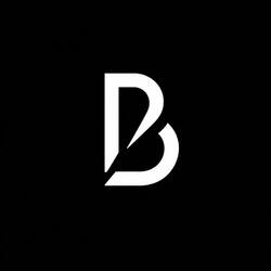 bankrize everything Logo