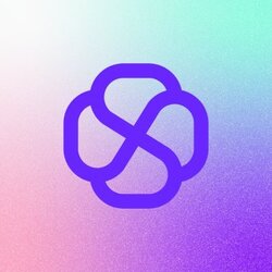 Logo de Self Chain