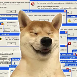 HTML