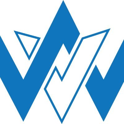 VisionWave Holdings, Inc.