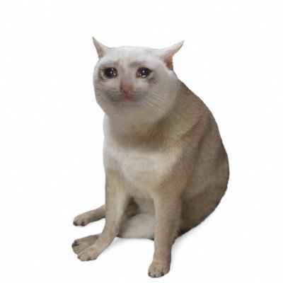 Cash Cat ロゴ