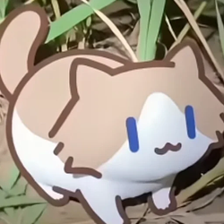 Salary Cat 圖標