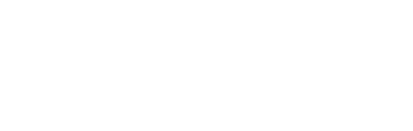 XCEL BRANDS INC.