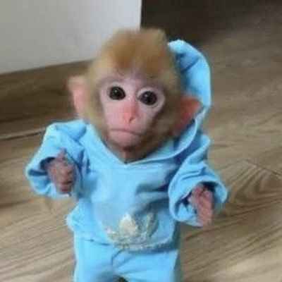 MONKE/USDT
