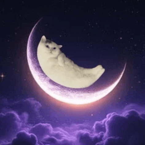 MOONCAT/USDT